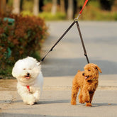 Dual Dog Leash Coupler Twin Lead